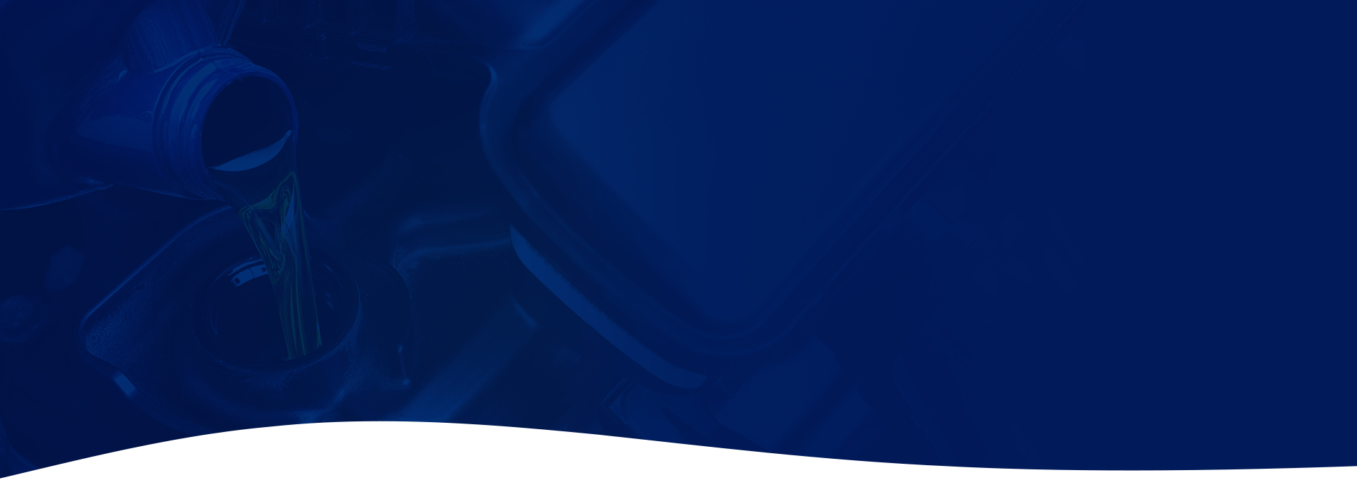 bg-showcase
